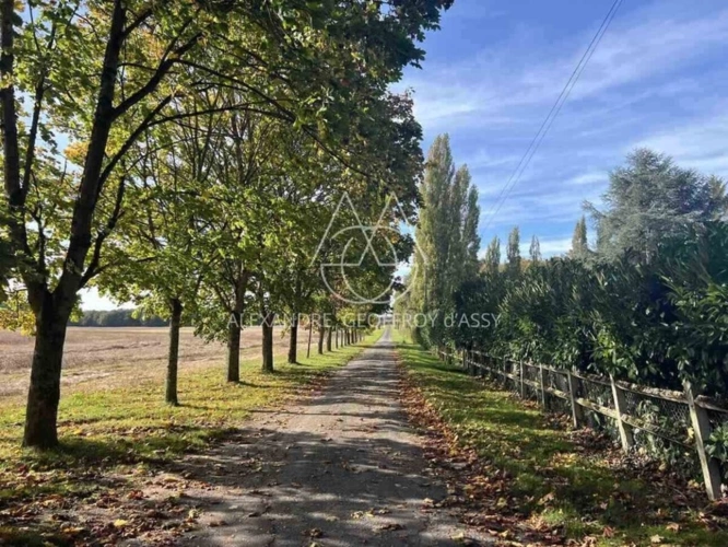 Photos 5 - Prestige - MANOIR DU XV et XVIIIème à 15 minites de TOURS avec 90 hectares d'un seul tenant