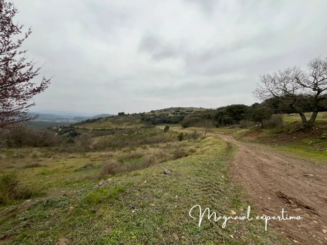 Photos 5 - Agricole - Vente 150 Ha pour activité pastorale itinérante ou touristique dans un Parc Naturel Méditerranéen