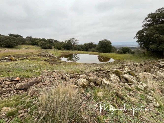 Photos 6 - Agricole - Vente 150 Ha pour activité pastorale itinérante ou touristique dans un Parc Naturel Méditerranéen