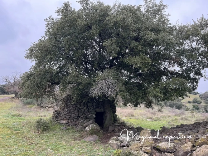 Photos 7 - Agricole - Vente 150 Ha pour activité pastorale itinérante ou touristique dans un Parc Naturel Méditerranéen