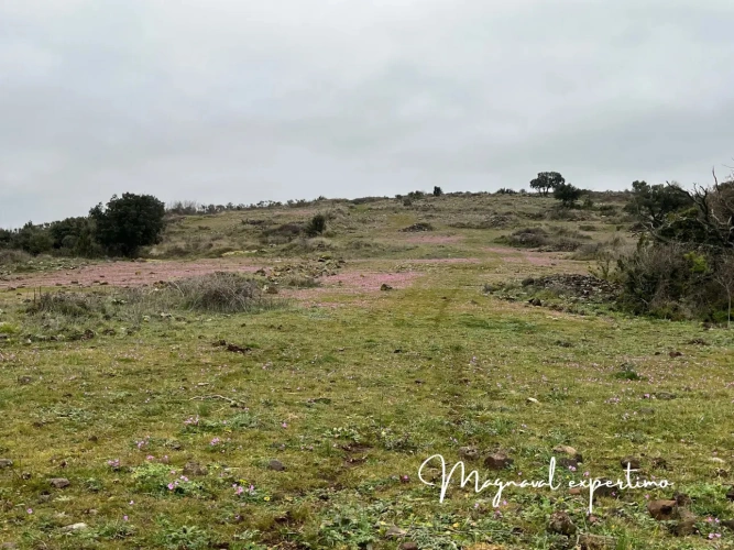 Photos 8 - Agricole - Vente 150 Ha pour activité pastorale itinérante ou touristique dans un Parc Naturel Méditerranéen