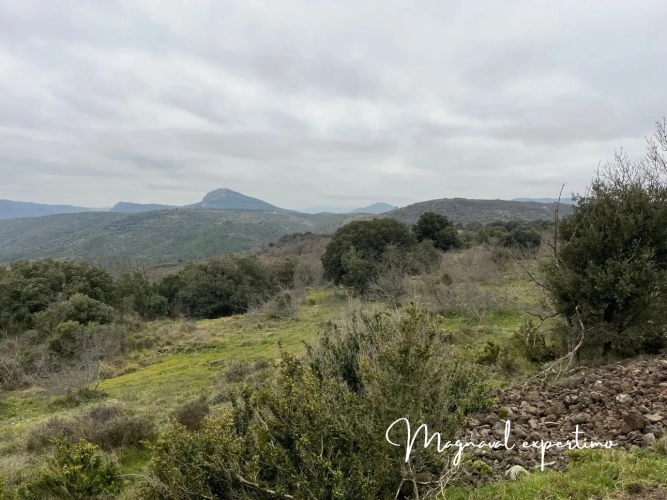 Photos 9 - Agricole - Vente 150 Ha pour activité pastorale itinérante ou touristique dans un Parc Naturel Méditerranéen