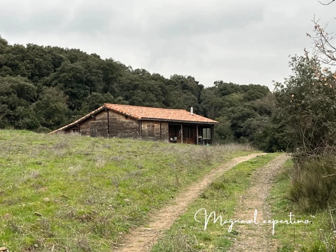 Photos 13 - Agricole - Vente 150 Ha pour activité pastorale itinérante ou touristique dans un Parc Naturel Méditerranéen