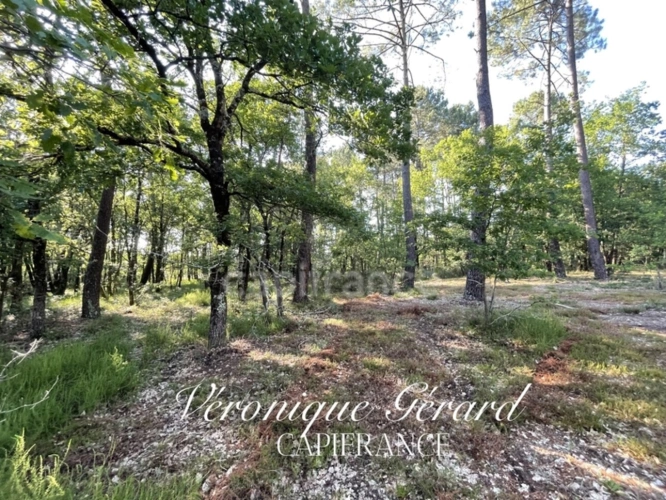 Photos 4 - Foncière - TERRAIN Agricole et Boisé de 15651 M2