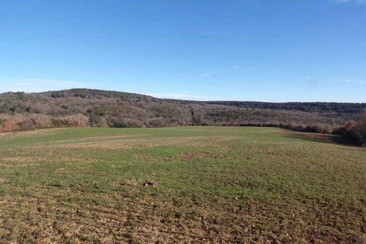Photos 1 - Land - 170 ha parc et gîtes