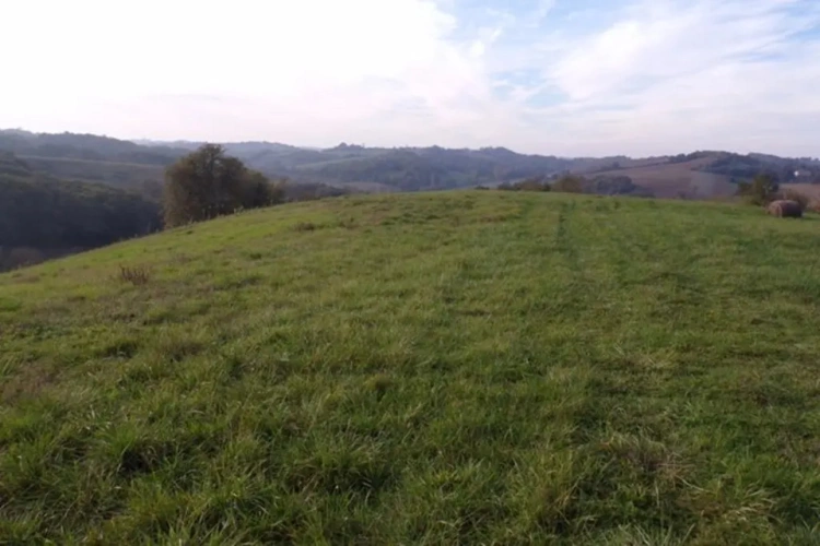 Photos 4 - Foncière - 15 ha Gers