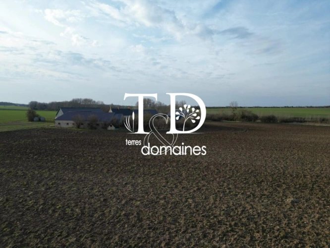 Photos 14 - Agricole - Exploitation céréalière occupée située en Champagne Berrich
