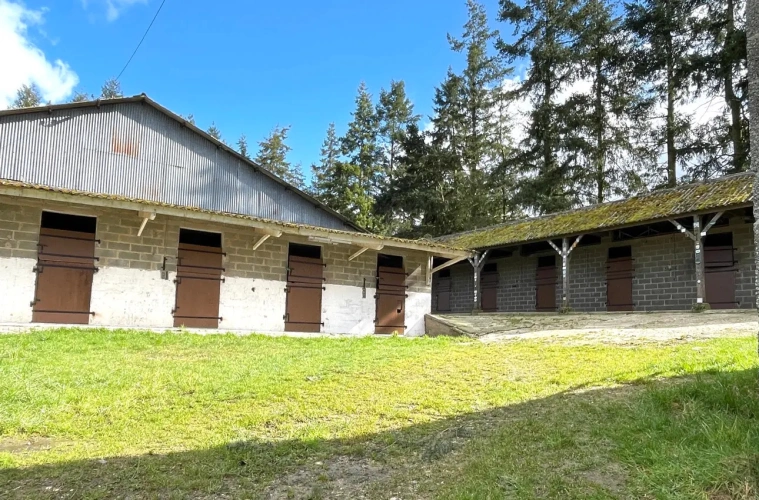 Photos 2 - Équestre - Belle propriété d'élevage ou entraînement sur 29ha dans un environnement magnifique