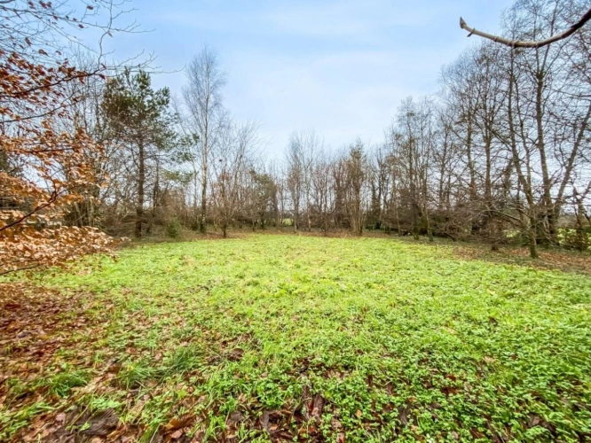 Photos 4 - Prestige - Manoir