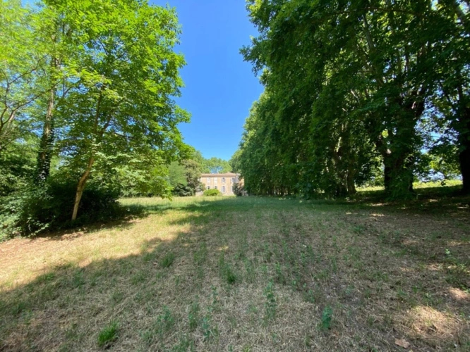 Photos 21 - Prestige - Dpt Gard (30), à vendre dans le Gard, propriété viticole en AOP Côtes du Rhône sur 25 hectares avec Château du XVème siècle