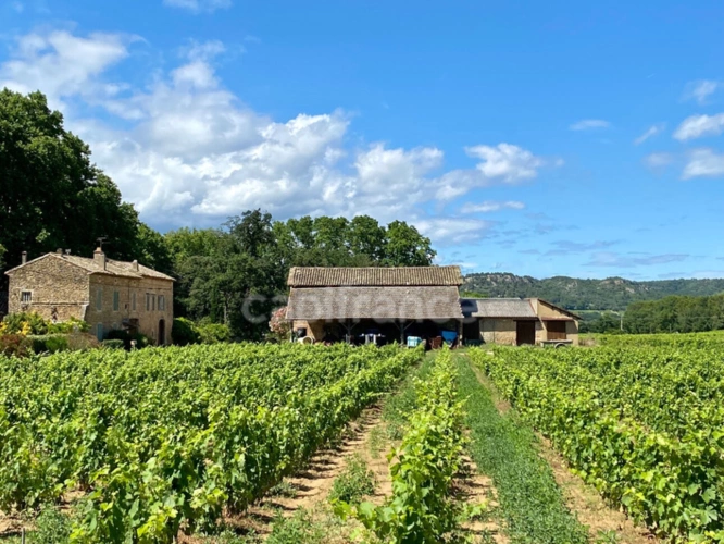 Photos 25 - Prestige - Dpt Gard (30), à vendre dans le Gard, propriété viticole en AOP Côtes du Rhône sur 25 hectares avec Château du XVème siècle