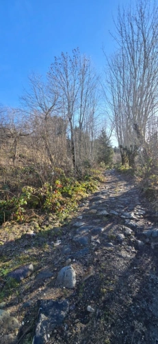 Photos 6 - Touristique - grange 1 pièces 50 m2 THEYS (38)