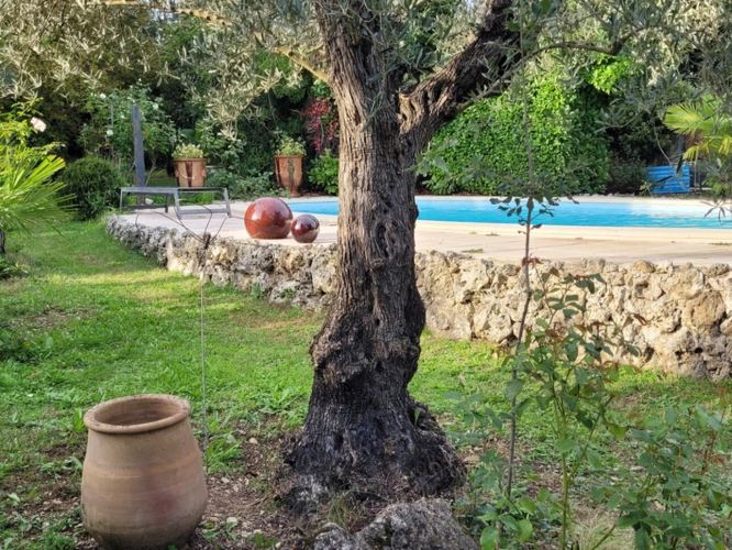 Photos 1 - Prestige - Propriete à vendre 7 pièces LAROQUE (34)