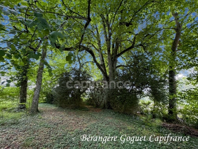 Photos 14 - Prestige - Propriete à vendre 8 pièces SAINT VINCENT DU LOROUER (72)