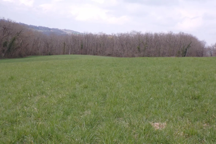 Photos 1 - Agricole - 25 ha noyer, bois, terre, lac