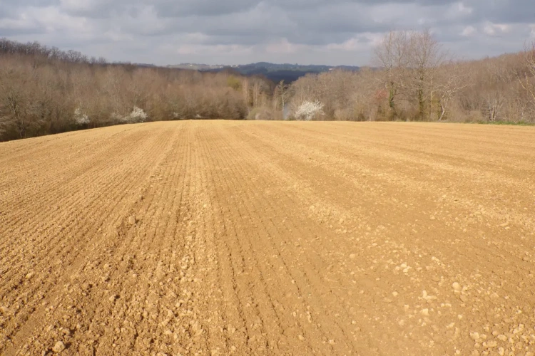 Photos 3 - Agricole - 25 ha noyer, bois, terre, lac