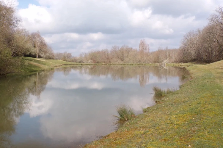 Photos 4 - Agricole - 25 ha noyer, bois, terre, lac