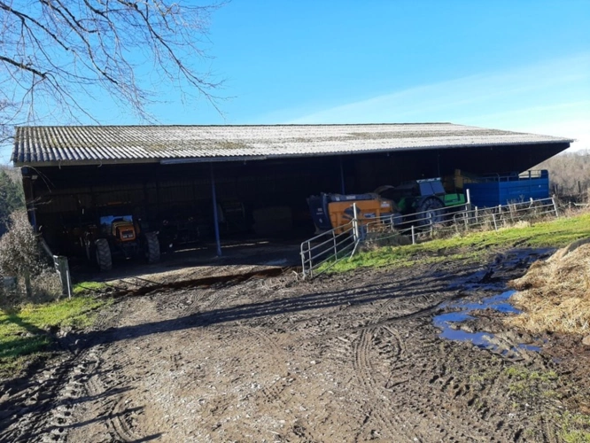 Photos 3 - Agricultural - Propriete à vendre 8 pièces GLANGES (87)
