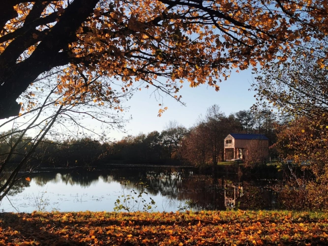 Photos 2 - Équestre - Domaine équestre et touristique : un joyau historique au cœur de la Vendée