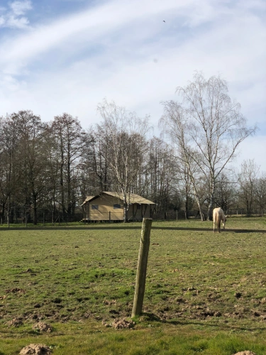 Photos 3 - Équestre - Domaine équestre et touristique : un joyau historique au cœur de la Vendée