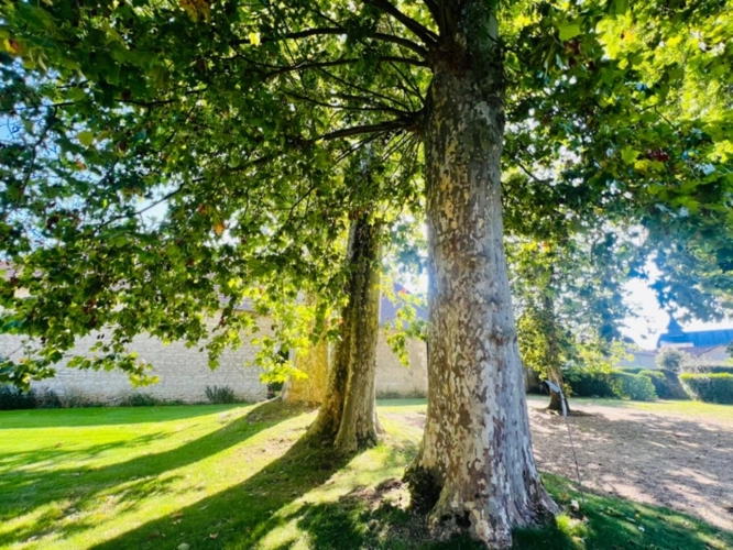 Photos 40 - Prestige - Propriété maison de maitre à  CHATELLERAULT (86)