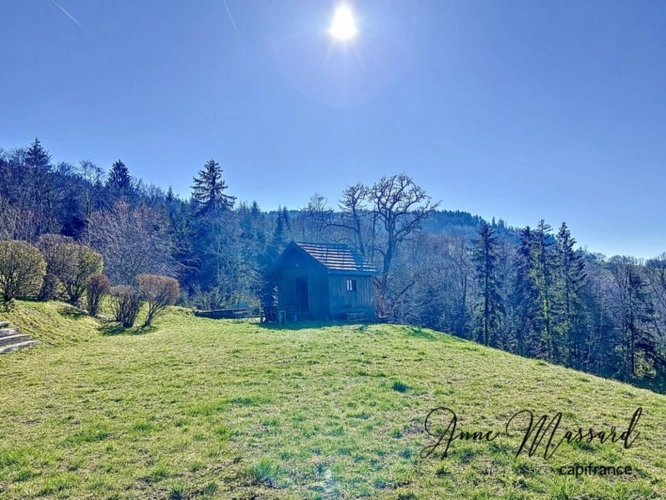 Photos 6 - Touristique - Dpt Haute Savoie (74), Maison-Gîte sur les hauteurs de Thonon avec vue exceptionnelle sur le Lac Léman et Jura