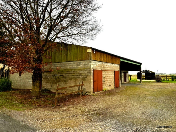 Photos 7 - Touristique - PROPRIETE FIN 18ème sur 3 ha de pâturage   IDEAL CHAMBRES D’HÔTES