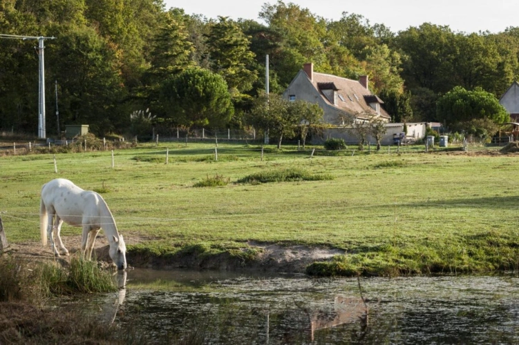 Photos 1 - Équestre - Charmante Propriété Équestre et Agricole - 17,2 ha