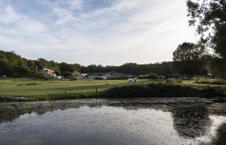 Photos 2 - Équestre - Charmante Propriété Équestre et Agricole - 17,2 ha