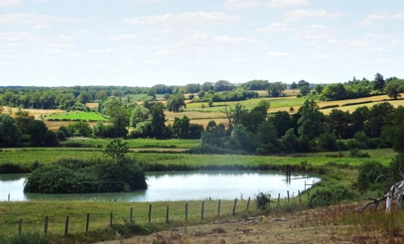 Photos 11 - Équestre - Charmante Propriété Équestre et Agricole - 17,2 ha