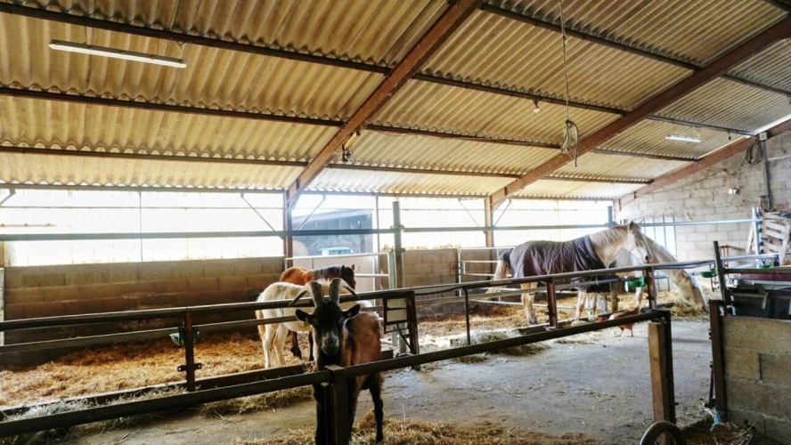Photos 15 - Équestre - Charmante Propriété Équestre et Agricole - 17,2 ha
