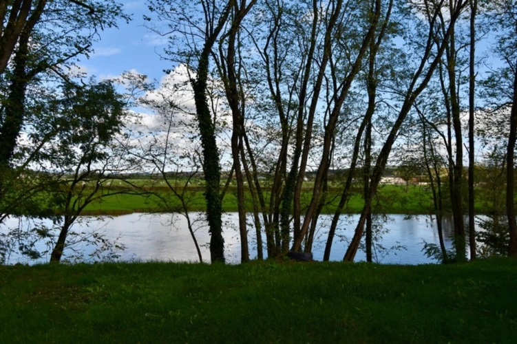Photos 15 - Foncière - Cabanon + Terrain à vendre au bord de l'Arroux proximité Gueugnon Exclusivité Caprifrance