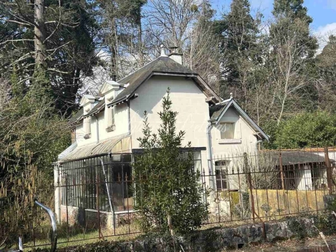 Photos 15 - Prestige - Propriete à vendre 15 pièces proche de CHATILLON SUR INDREDRE (36)