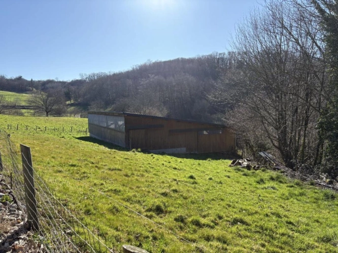Photos 17 - Équestre - Maison
