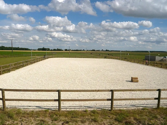 Photos 3 - Équestre - Grande ferme équestre très bien équipée -accès PMR