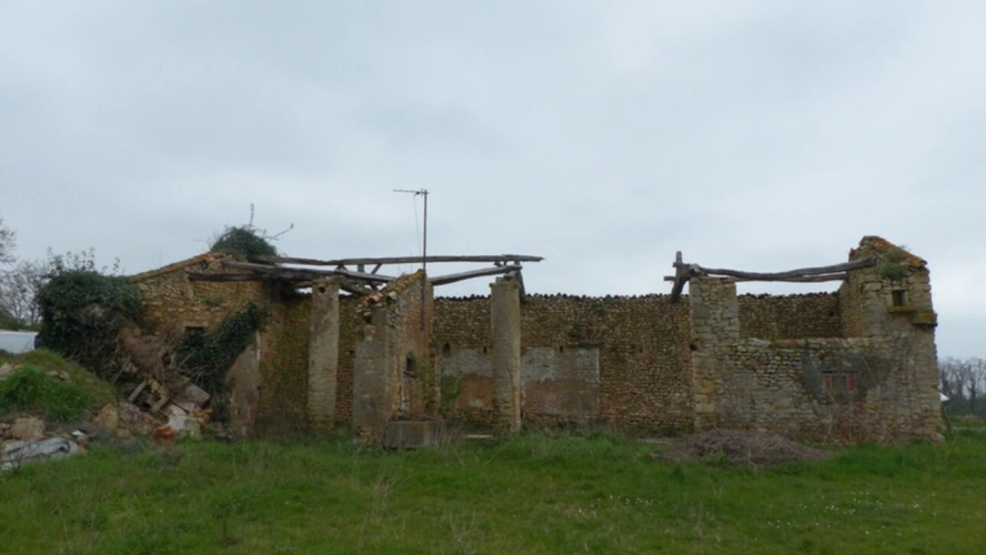 Photos 1 - Touristique - Ancienne GRANGE à vendre 1 pièce AVAILLES THOUARSAIS (79) Terrain 900 m² environ