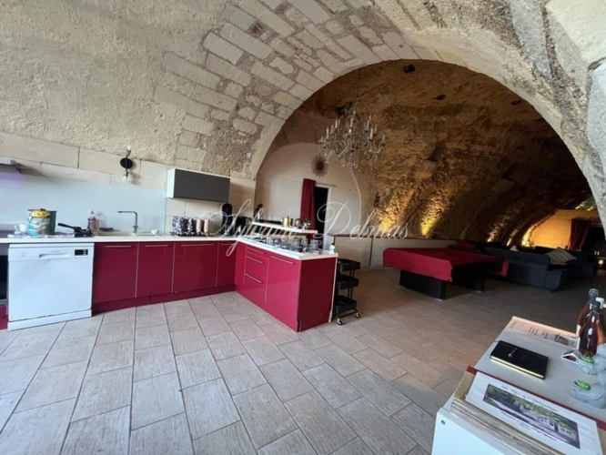 Photos 3 - Prestigious - Property for sale 14 rooms AMBOISE (37)