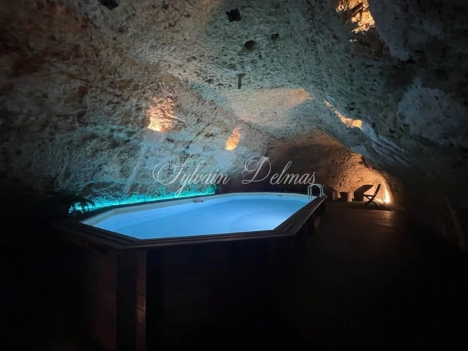 Photos 5 - Prestigious - Property for sale 14 rooms AMBOISE (37)