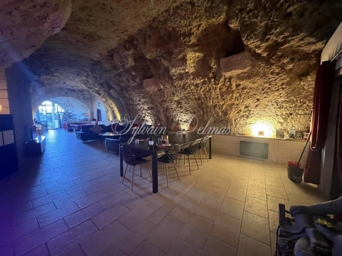 Photos 6 - Prestigious - Property for sale 14 rooms AMBOISE (37)