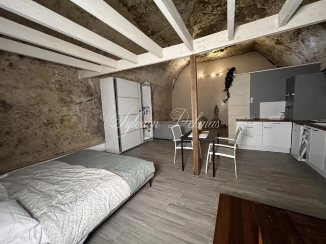 Photos 10 - Prestigious - Property for sale 14 rooms AMBOISE (37)