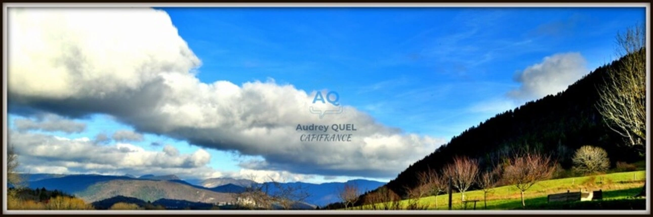 Photos 37 - Touristique - A vendre - Propriété - 340 m² (570 m² total) - 10 pièces - Le Poizat-Lalleyriat (01)