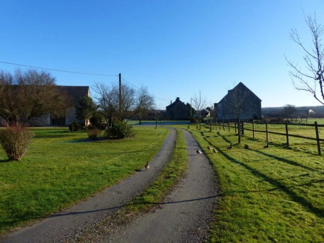 Photos 12 - Équestre - Propriété équestre de charme au coeur de la Brenne - 3,6 ha