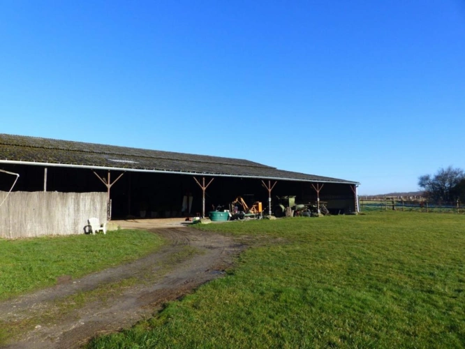 Photos 14 - Équestre - Propriété équestre de charme au coeur de la Brenne - 3,6 ha