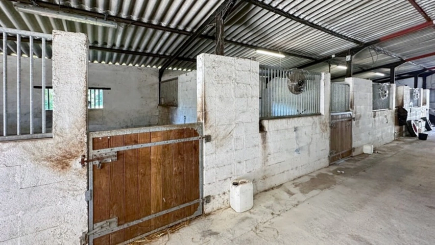 Photos 32 - Équestre - Dpt Dordogne (24), à vendre BERGERAC propriété P7 - terrain de 87000 m2