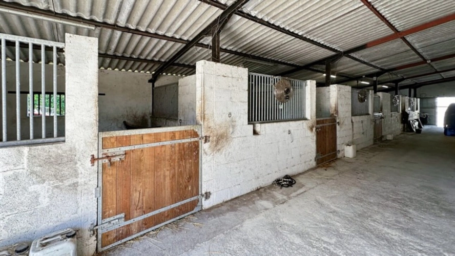Photos 33 - Équestre - Dpt Dordogne (24), à vendre BERGERAC propriété P7 - terrain de 87000 m2