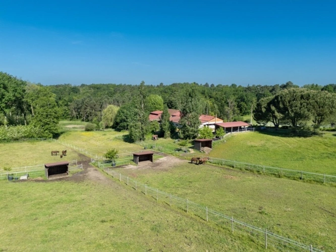 Photos 36 - Équestre - Dpt Dordogne (24), à vendre BERGERAC propriété P7 - terrain de 87000 m2