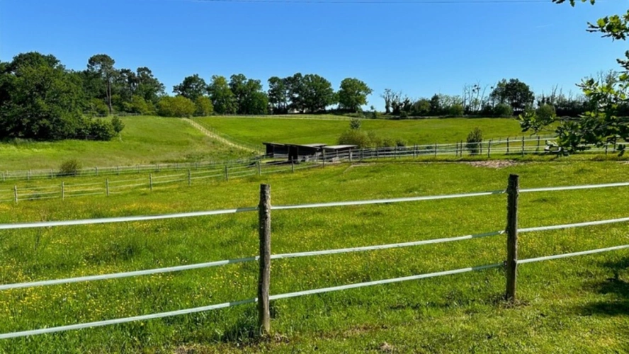 Photos 38 - Équestre - Dpt Dordogne (24), à vendre BERGERAC propriété P7 - terrain de 87000 m2