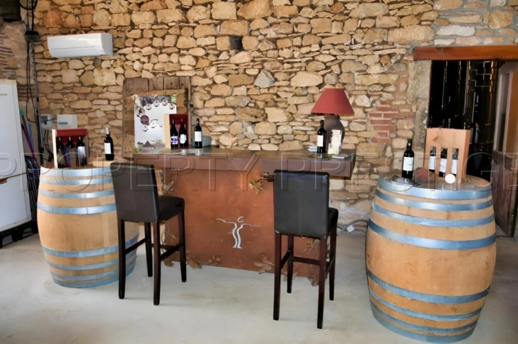 Photos 2 - Prestige - LOT DOMAINE VITICOLE AOC CAHORS 19 HA