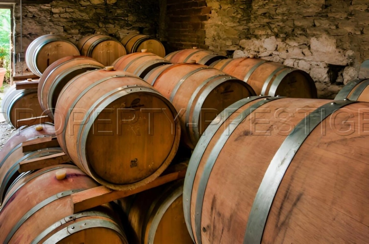 Photos 3 - Prestige - LOT DOMAINE VITICOLE AOC CAHORS 19 HA