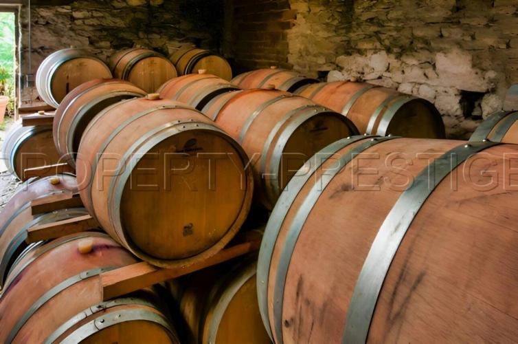 Photos 7 - Prestige - LOT DOMAINE VITICOLE AOC CAHORS 19 HA